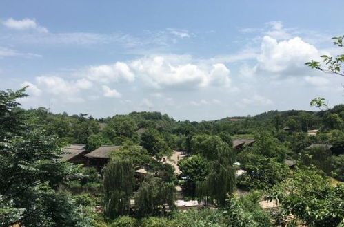 成都周邊隱藏一個4a級古鎮(zhèn),門票0元,在山水之間,正越來越火