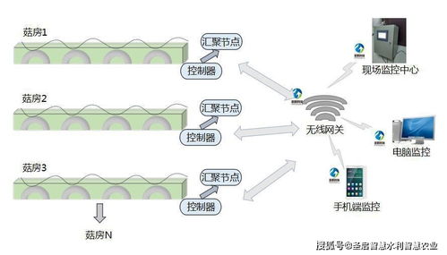物聯網技術賦能產業升級 四川智能食用菌菇房管理系統助力精準脫貧